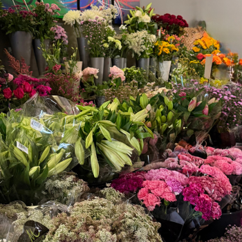 Blomster