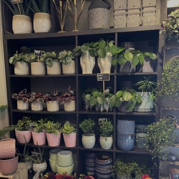 Planter