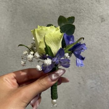 Knapshulsblomst