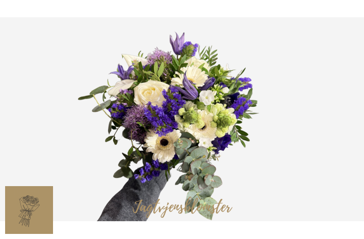 Blid Violet